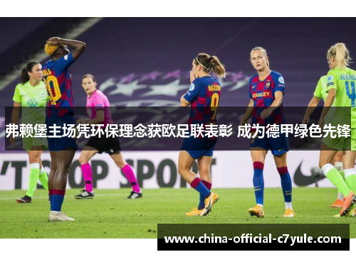 弗赖堡主场凭环保理念获欧足联表彰 成为德甲绿色先锋 弗赖堡主场凭环保理念获欧足联表彰 成为德甲绿色先锋