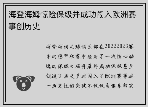 海登海姆惊险保级并成功闯入欧洲赛事创历史